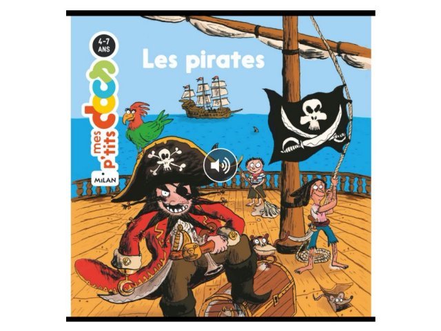 Les pirates (documentaire mini doc)