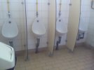 toilettes 5