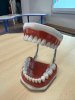 comment se brosser les dents