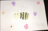 abeille de Nahïl
