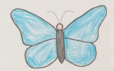 Yakhya coloriage papillon