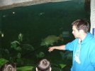 Devant l'aquarium des carpes