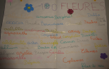 100 noms de fleurs