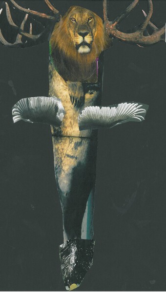 Le Cerliphocytre