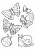 Coloriage insectes