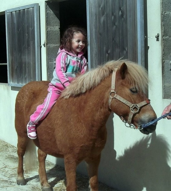 PONEY-ECOLE pour les MOYENS - Ecole le champ du moulin - Germond-Rouvre