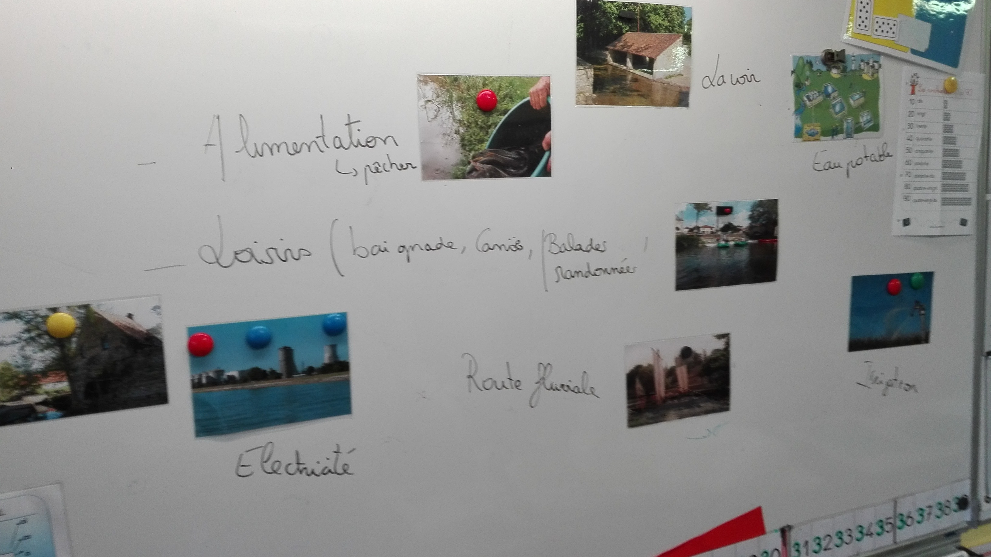 DeuxSèvres Nature Environnement RPI Gourgé Pressigny Aubigny