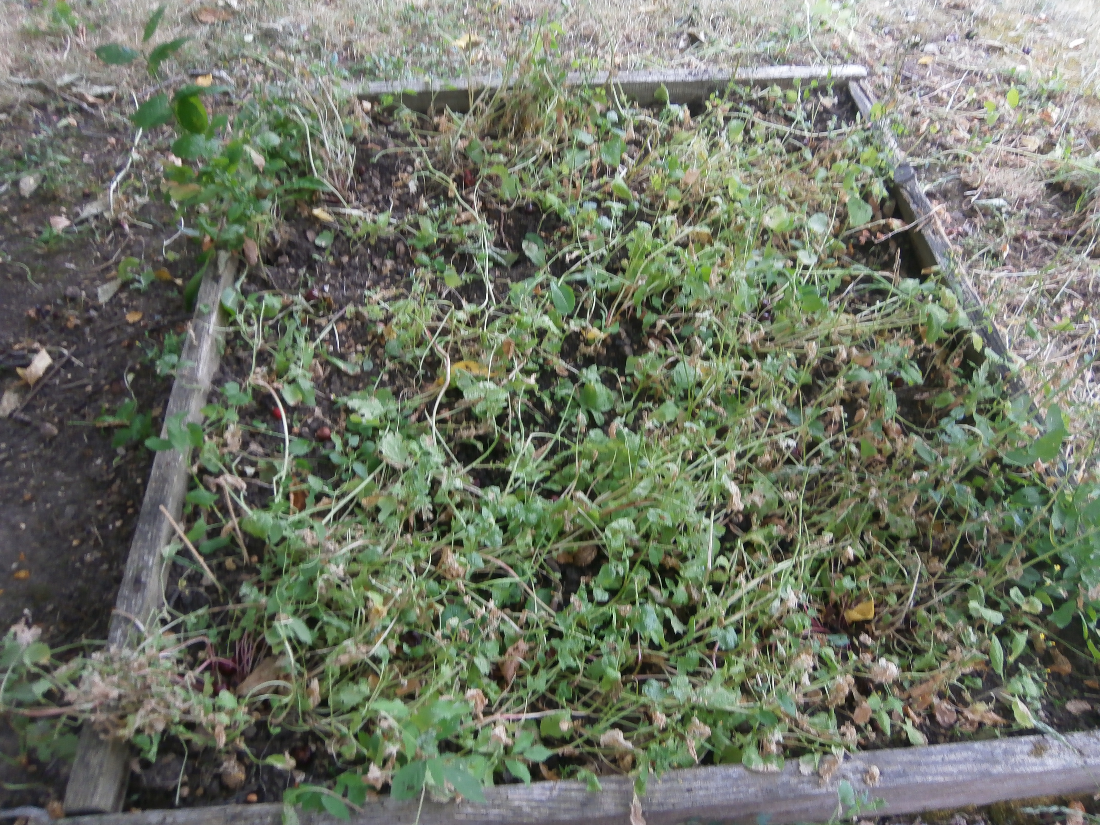 P6260105