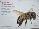 Pages 4 et 5 Qu est ce qu un insecte