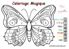 papillon coloriages magiques