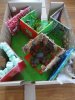 Le jardin des contraires 2
