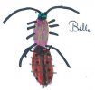 camille insecte2