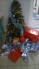 sapin